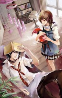 皇子入贅記